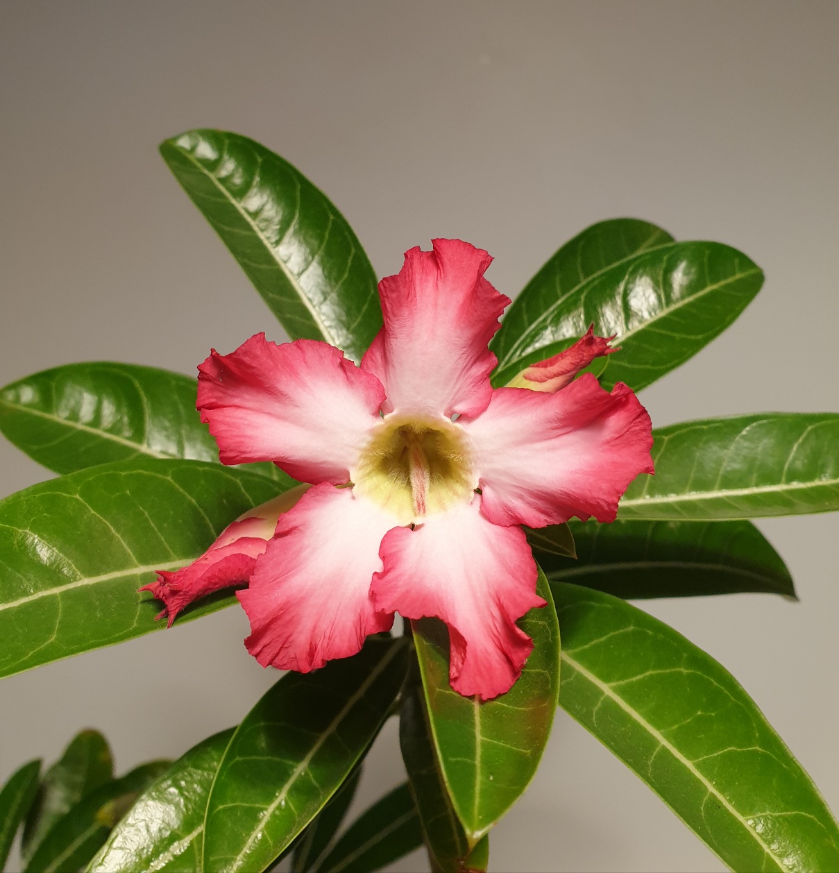 20200908_165256.jpg