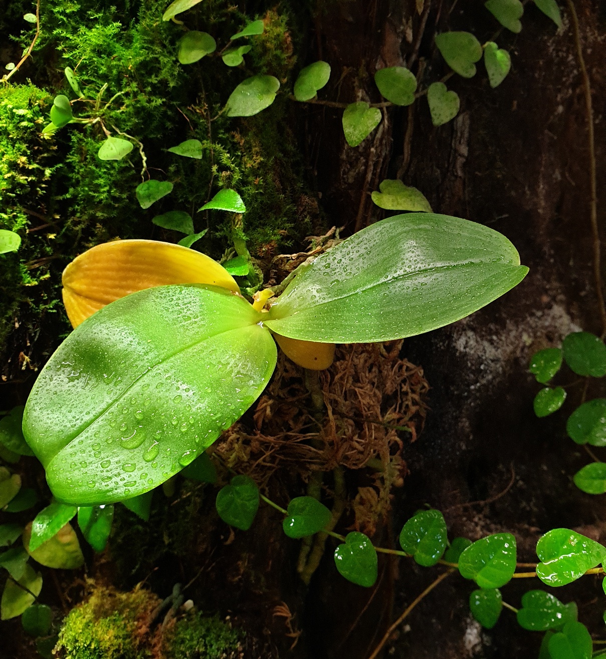 20220608_210303.jpg