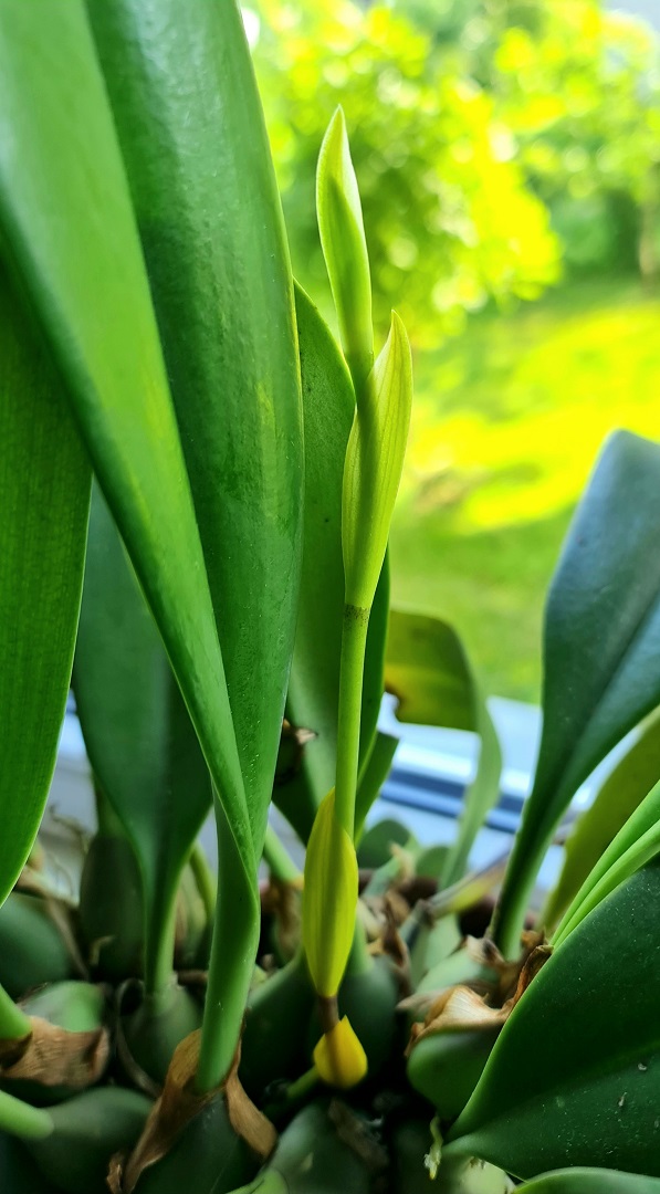 20220609_174243.jpg
