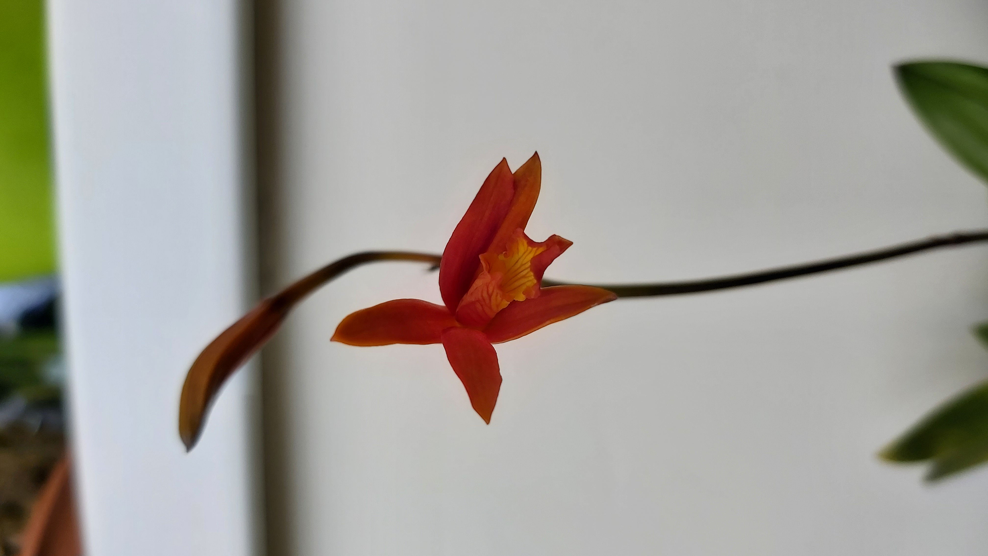 20220720_101937.jpg