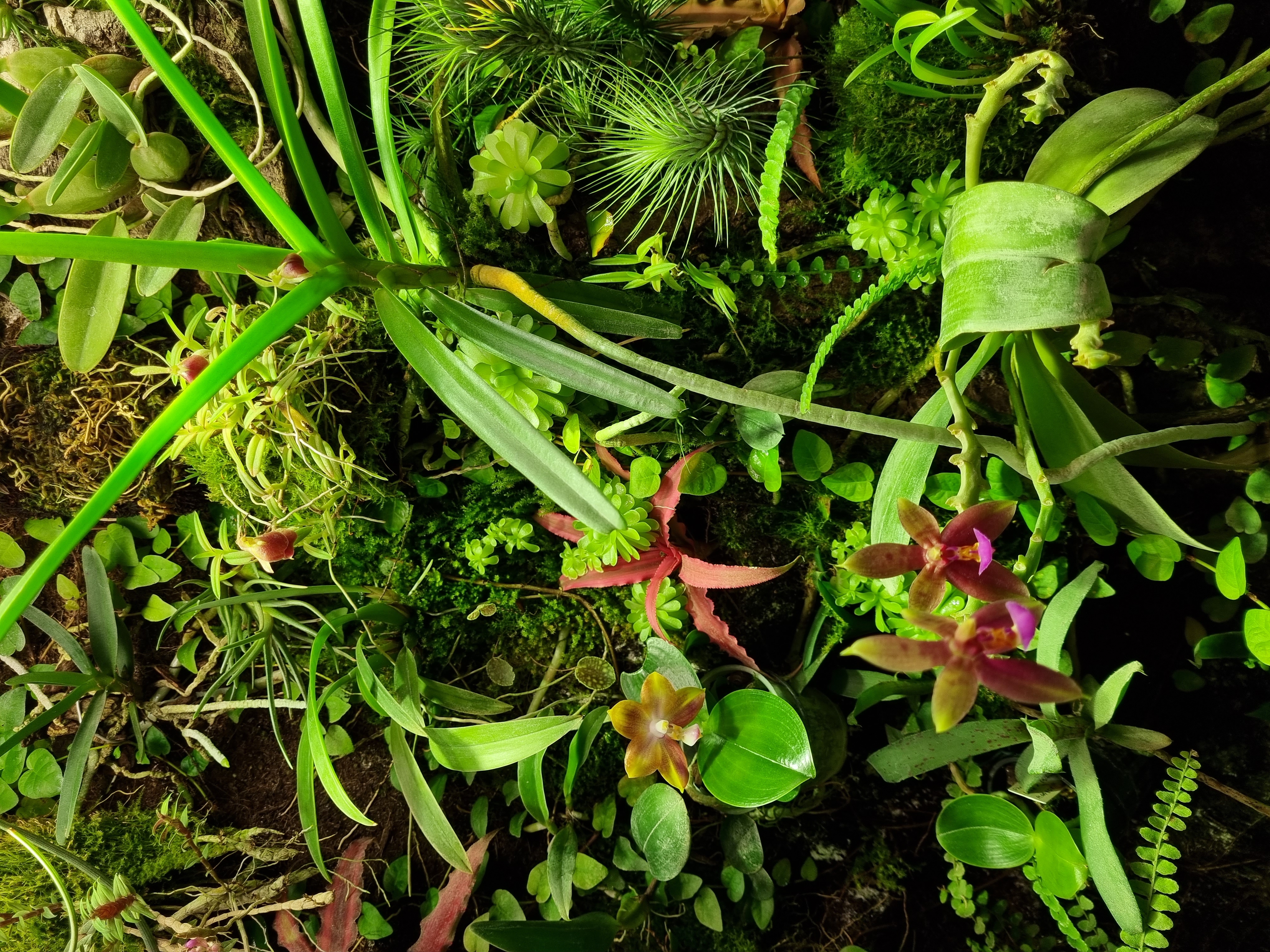 20220130_122607.jpg
