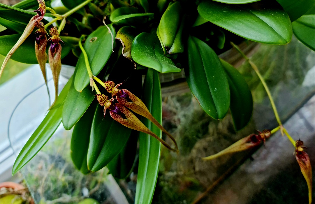 20221101_122020.jpg