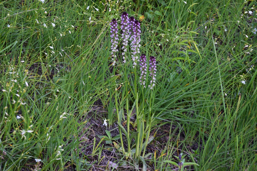2022-07-20_28726.jpg