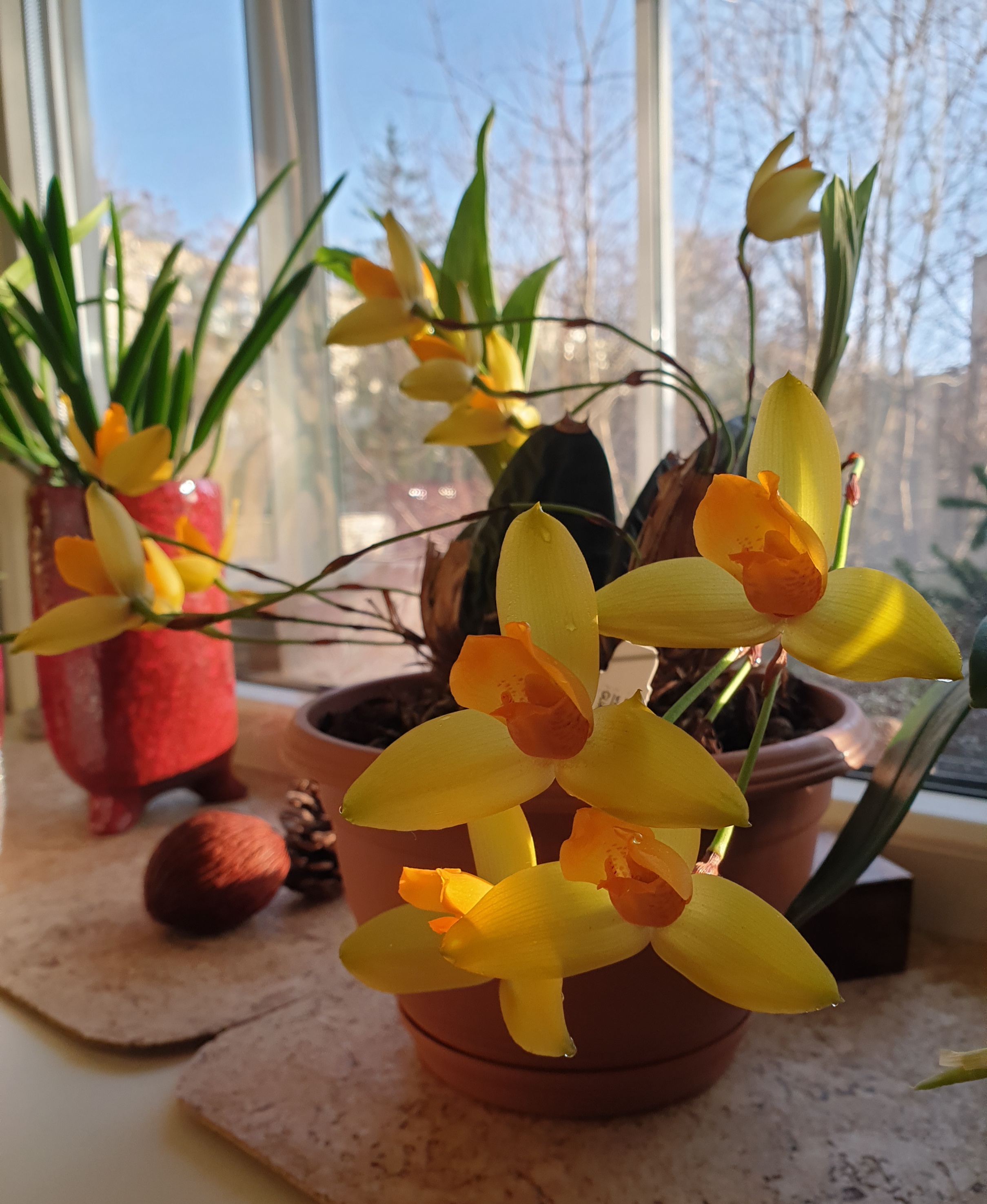 20230126_092613.jpg