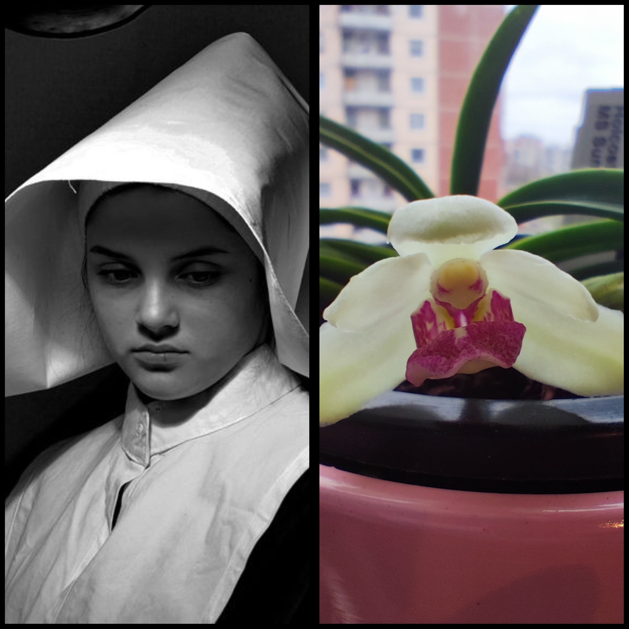 PhotoCollage_1676411148009.jpg