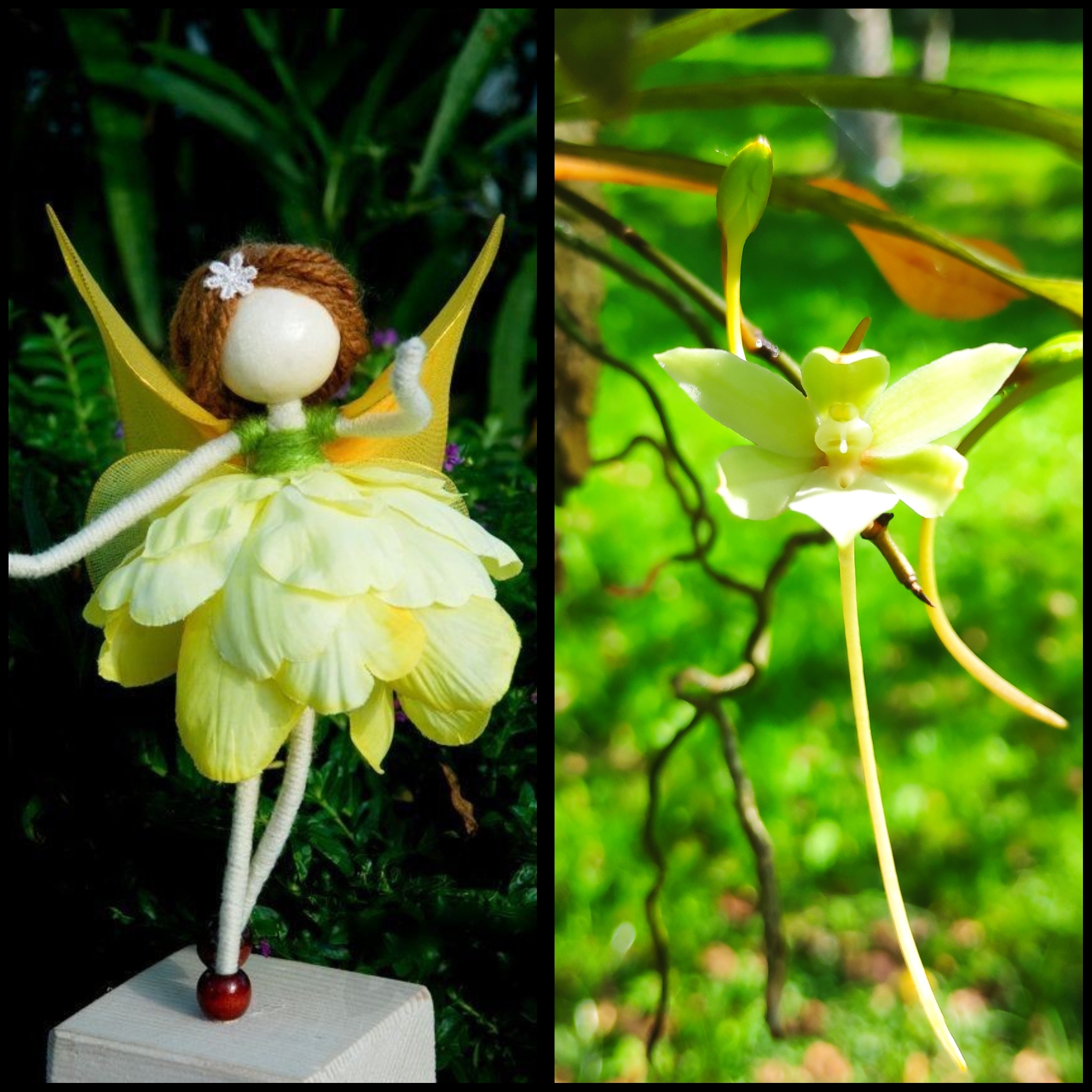 PhotoCollage_1676661490149.jpg