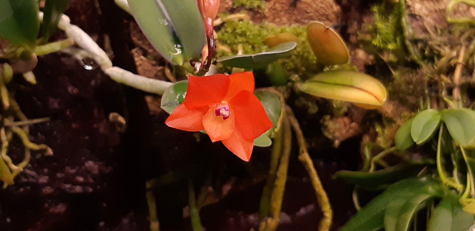 2019-12-07_05-08-12.jpg