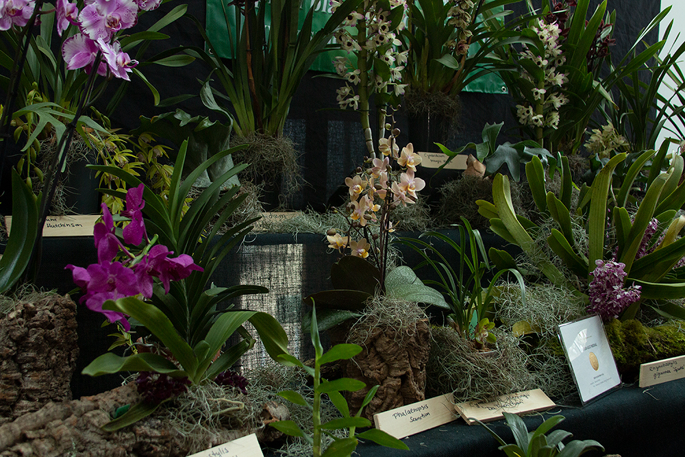 IMG_7962.jpg