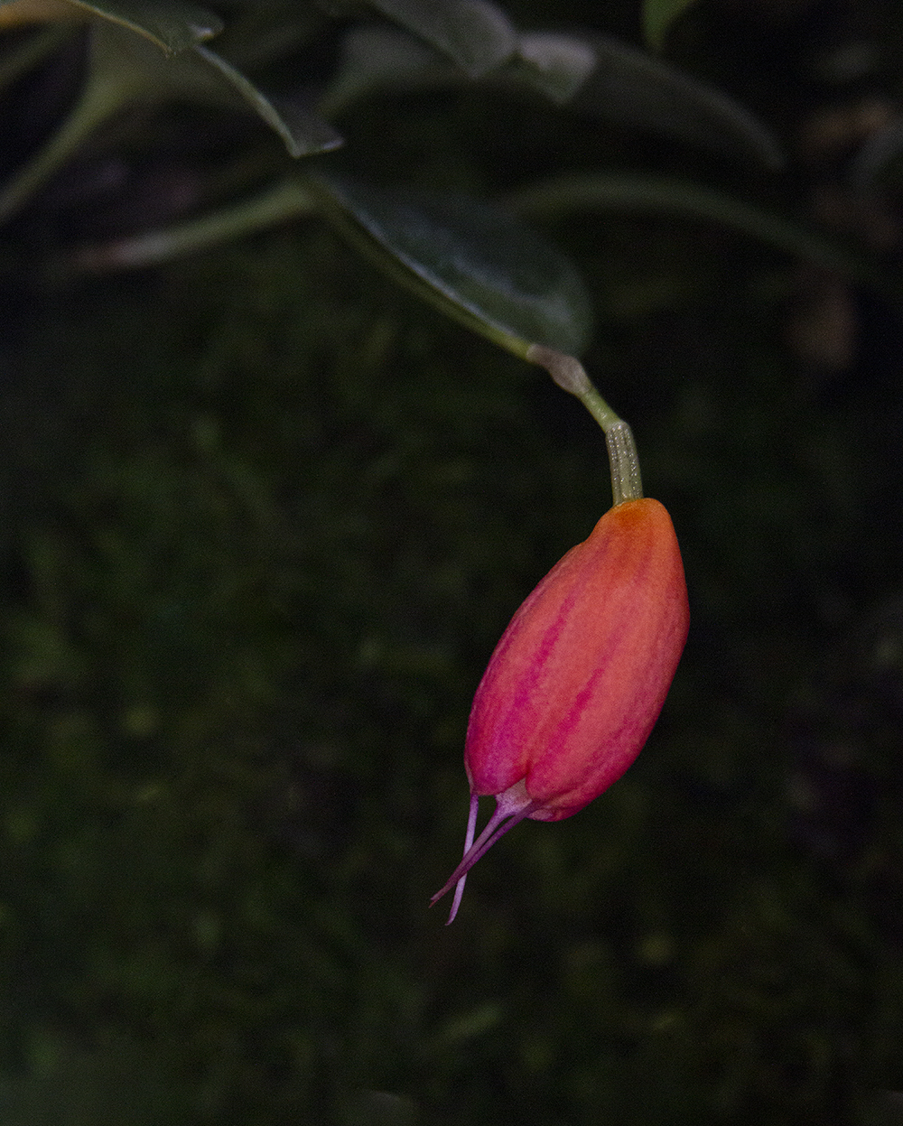 IMG_8336.jpg