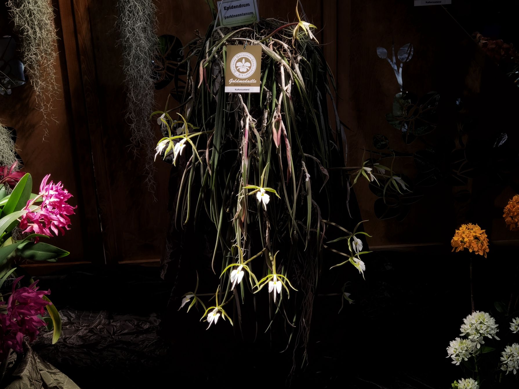 IMG_20230331_143229-01_compress66.jpg