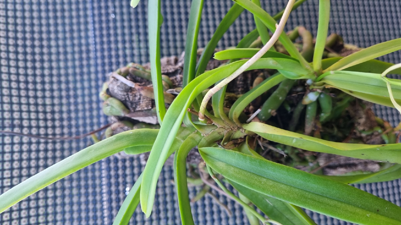 20230629_201640_resize_15.jpg