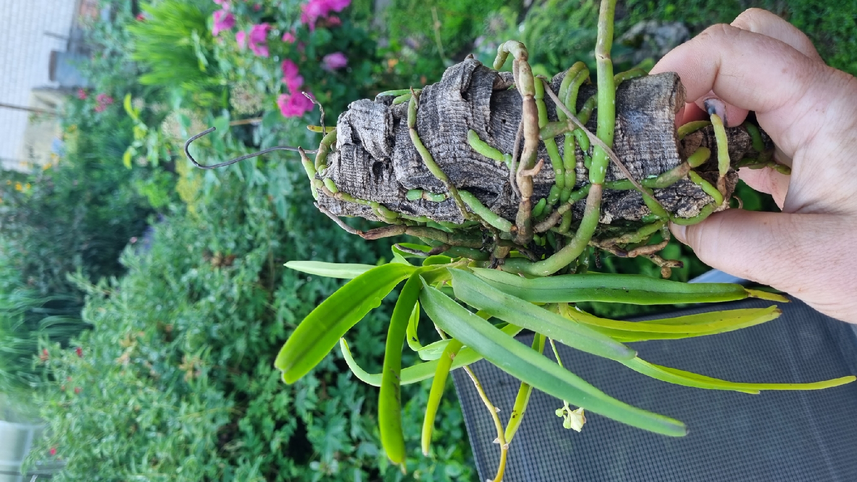 20230629_201728_resize_35.jpg