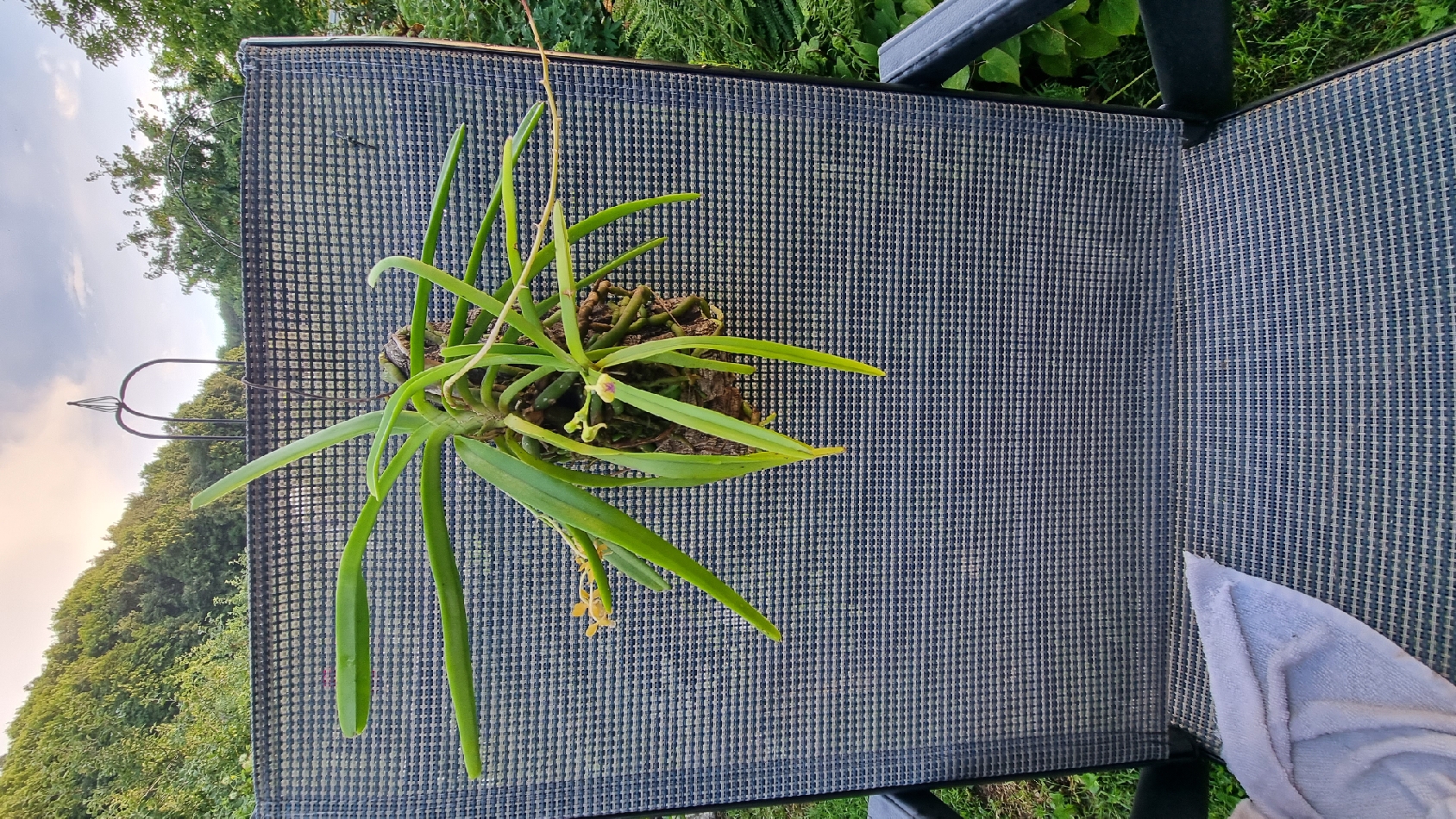 20230629_201617_resize_37.jpg