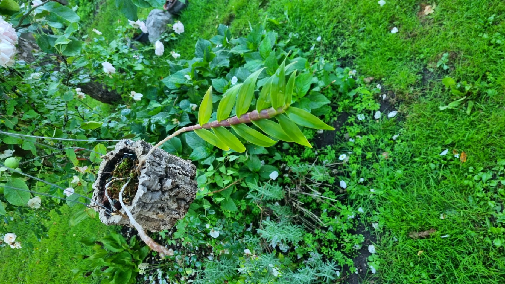 20230629_201111_resize_29.jpg