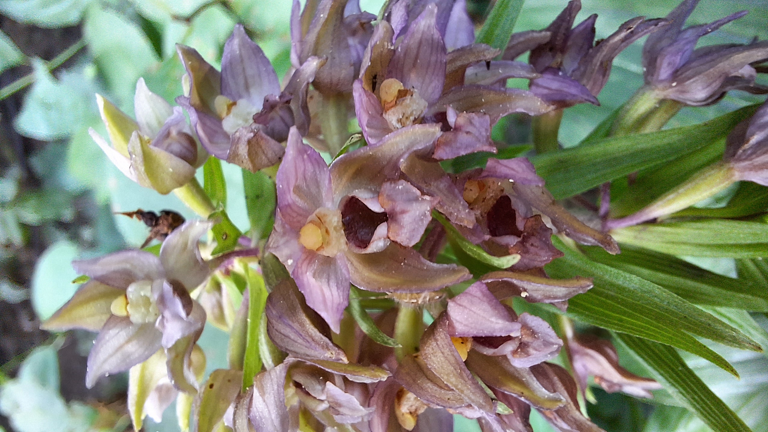 20230720_182759.jpg