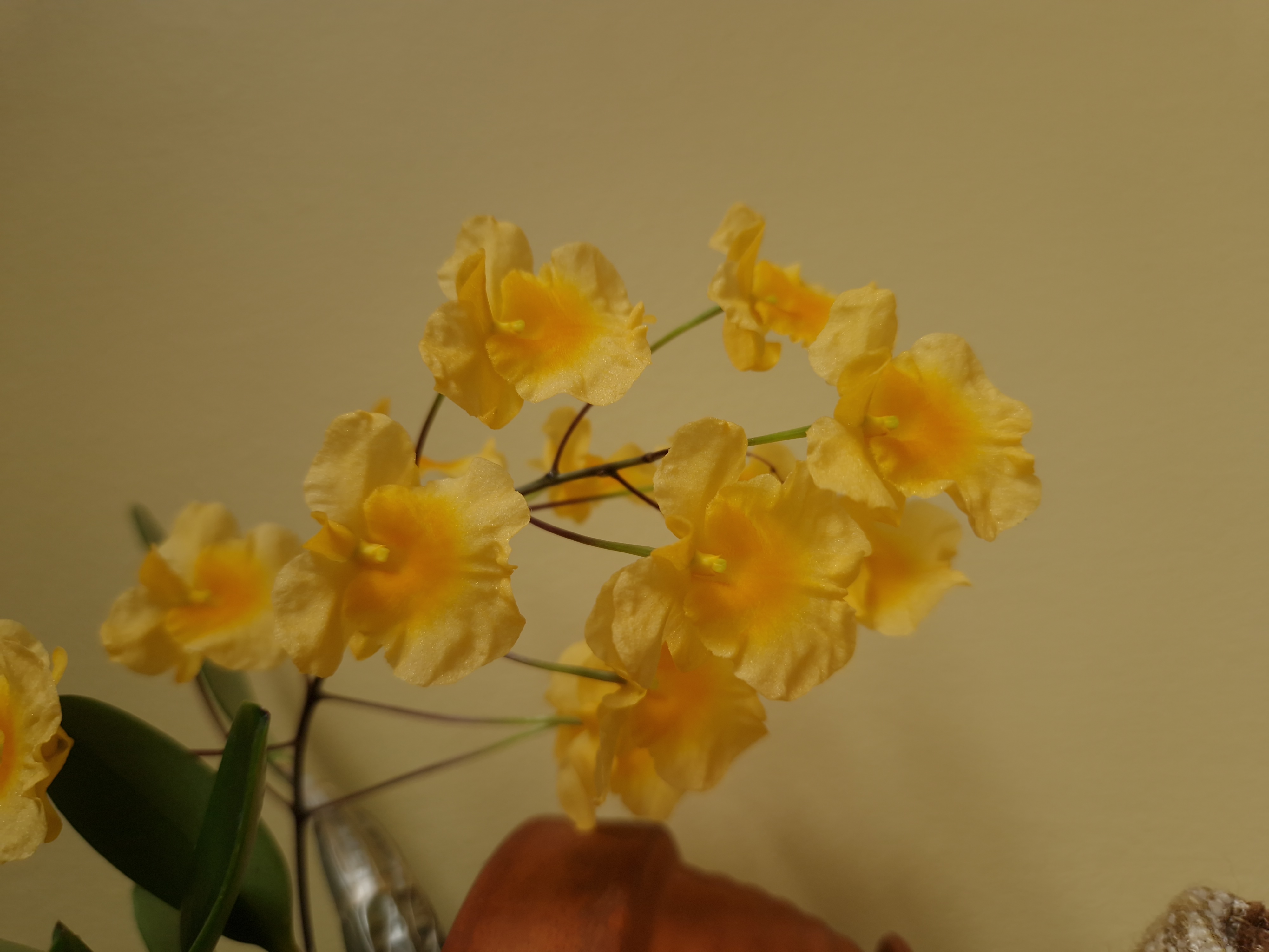 20231017_145319.jpg