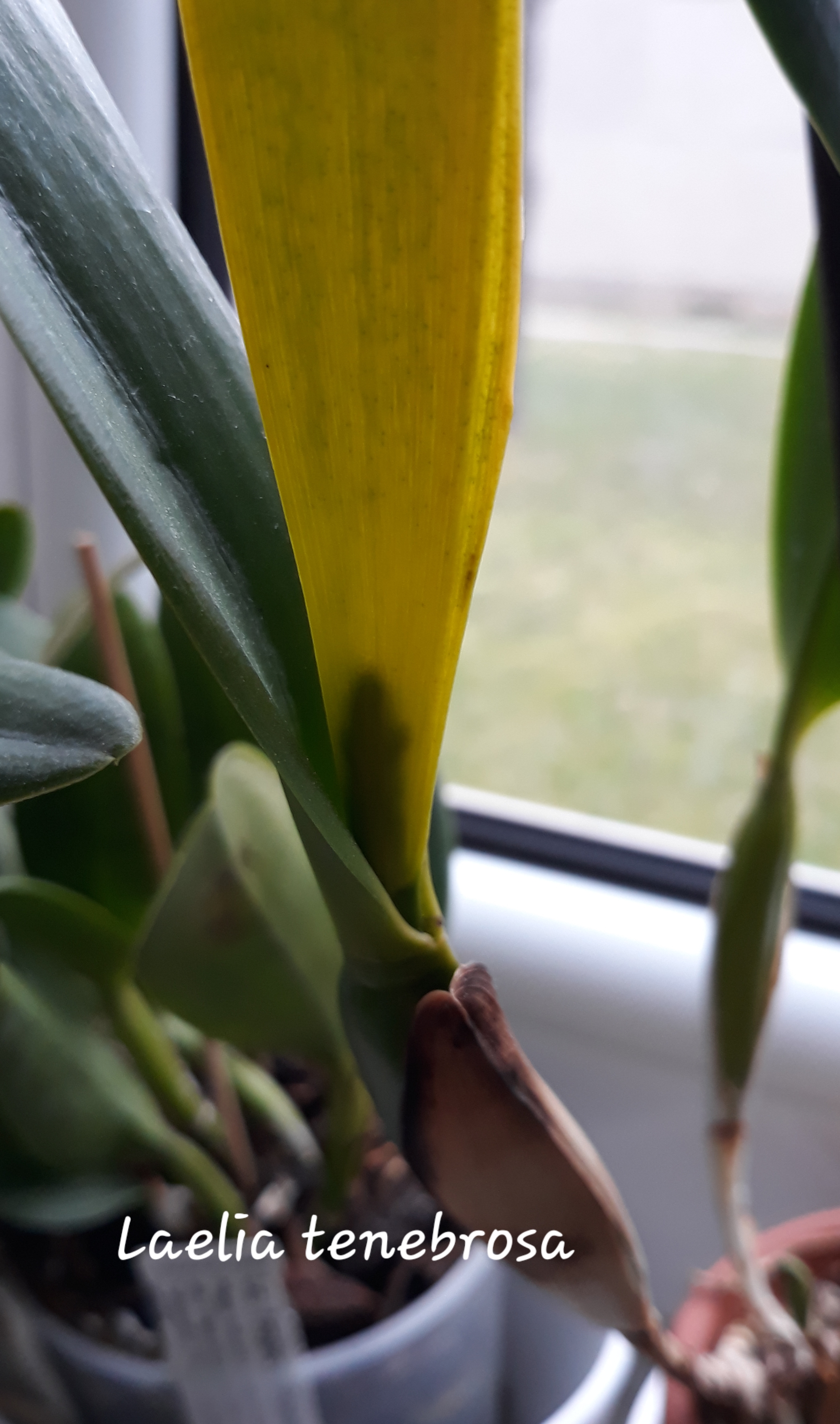 20190409_181136.jpg