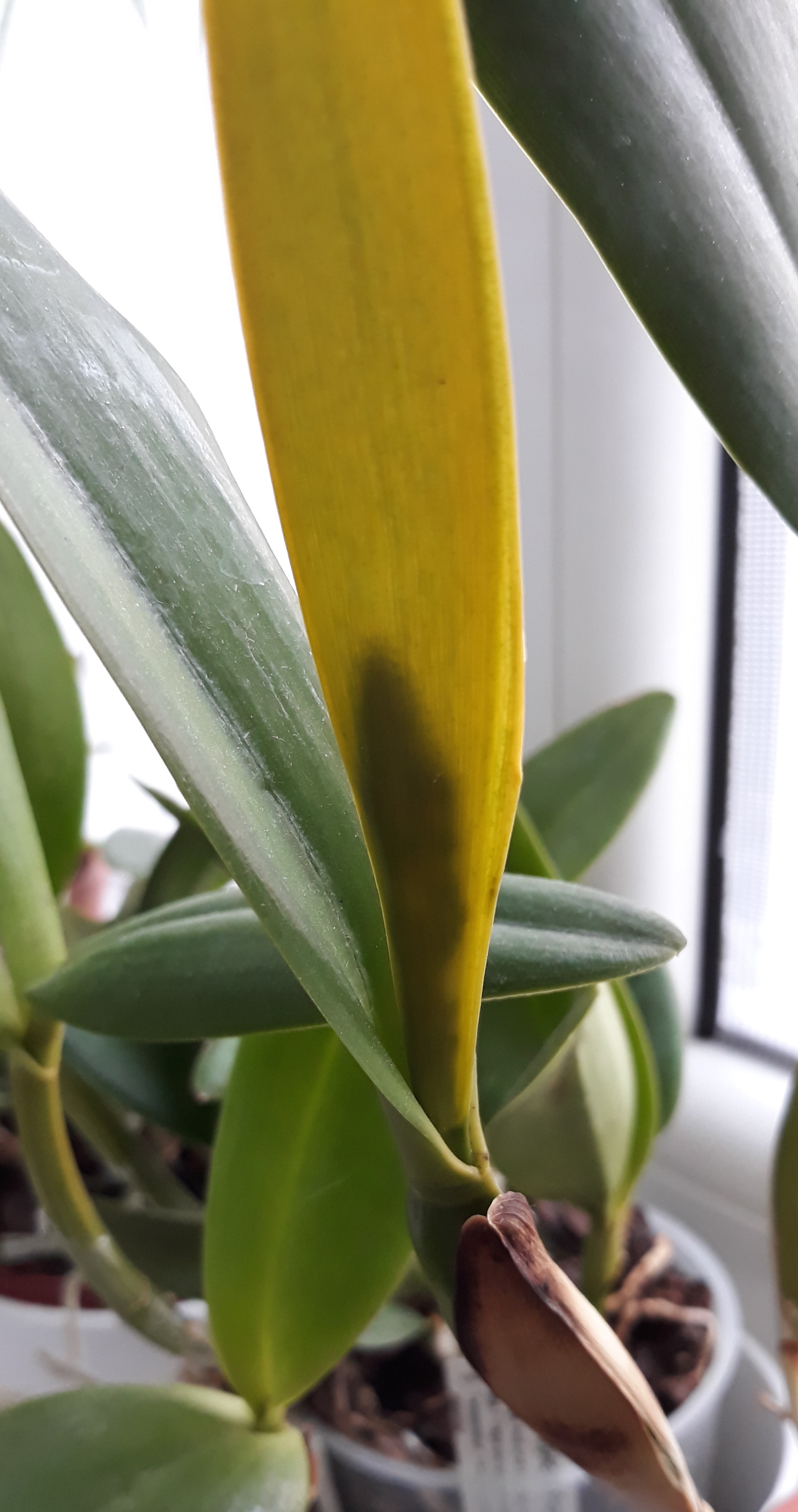 20190425_183034.jpg