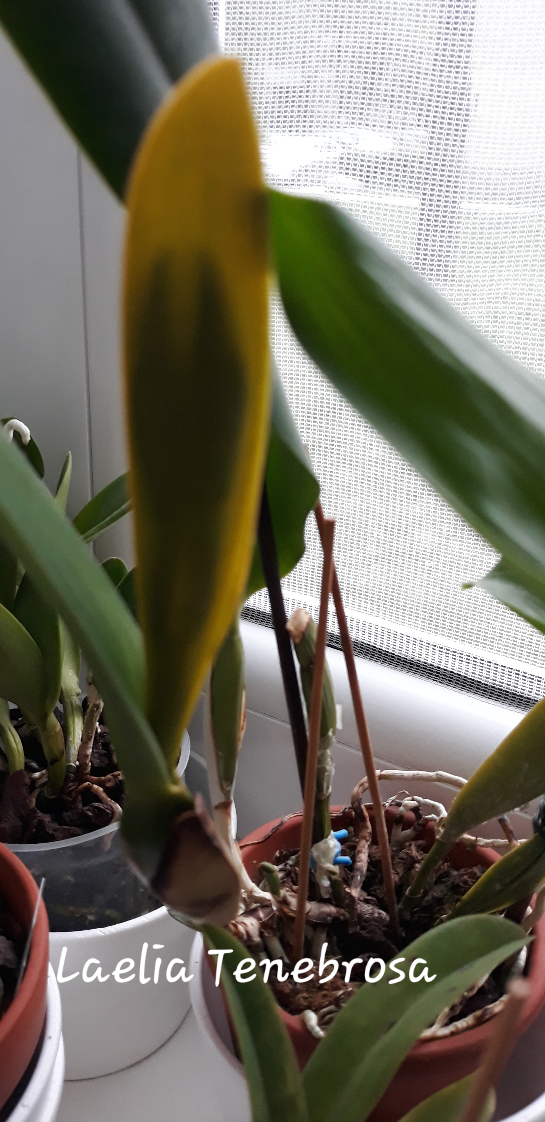 20190504_195403.jpg