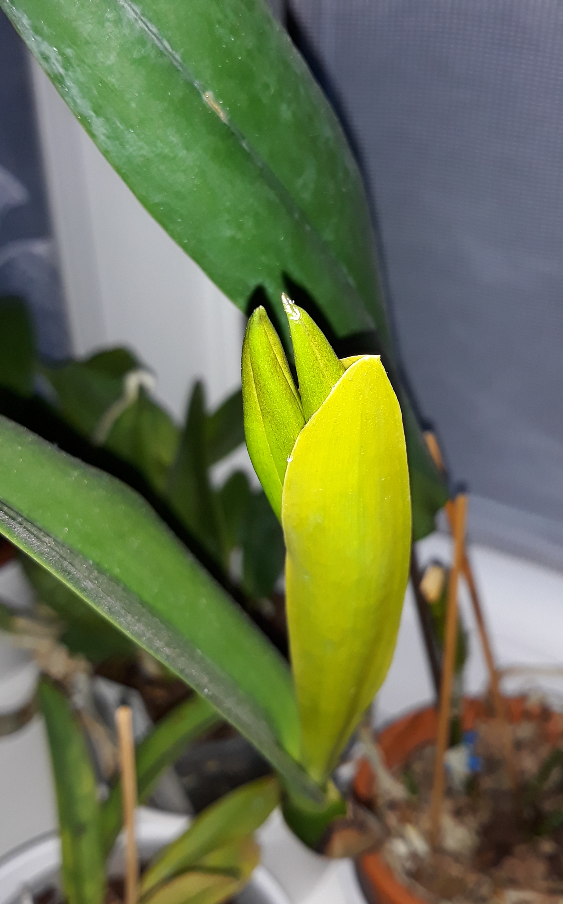 20190507_210613.jpg