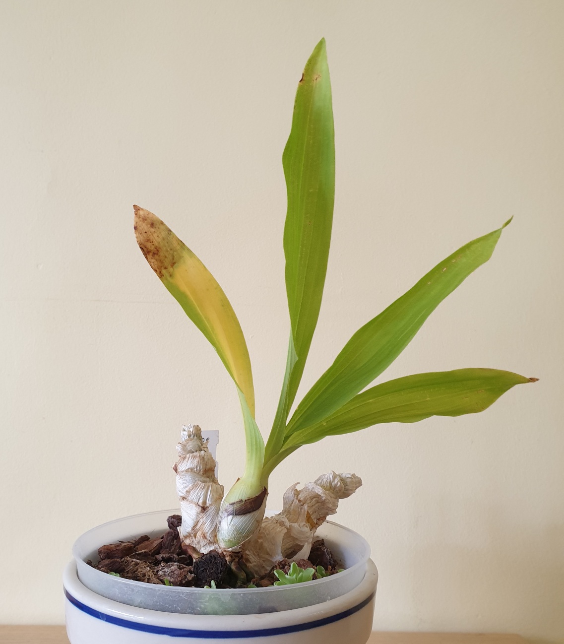 20200921_181421.jpg
