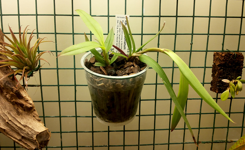 20181106_111719s.jpg