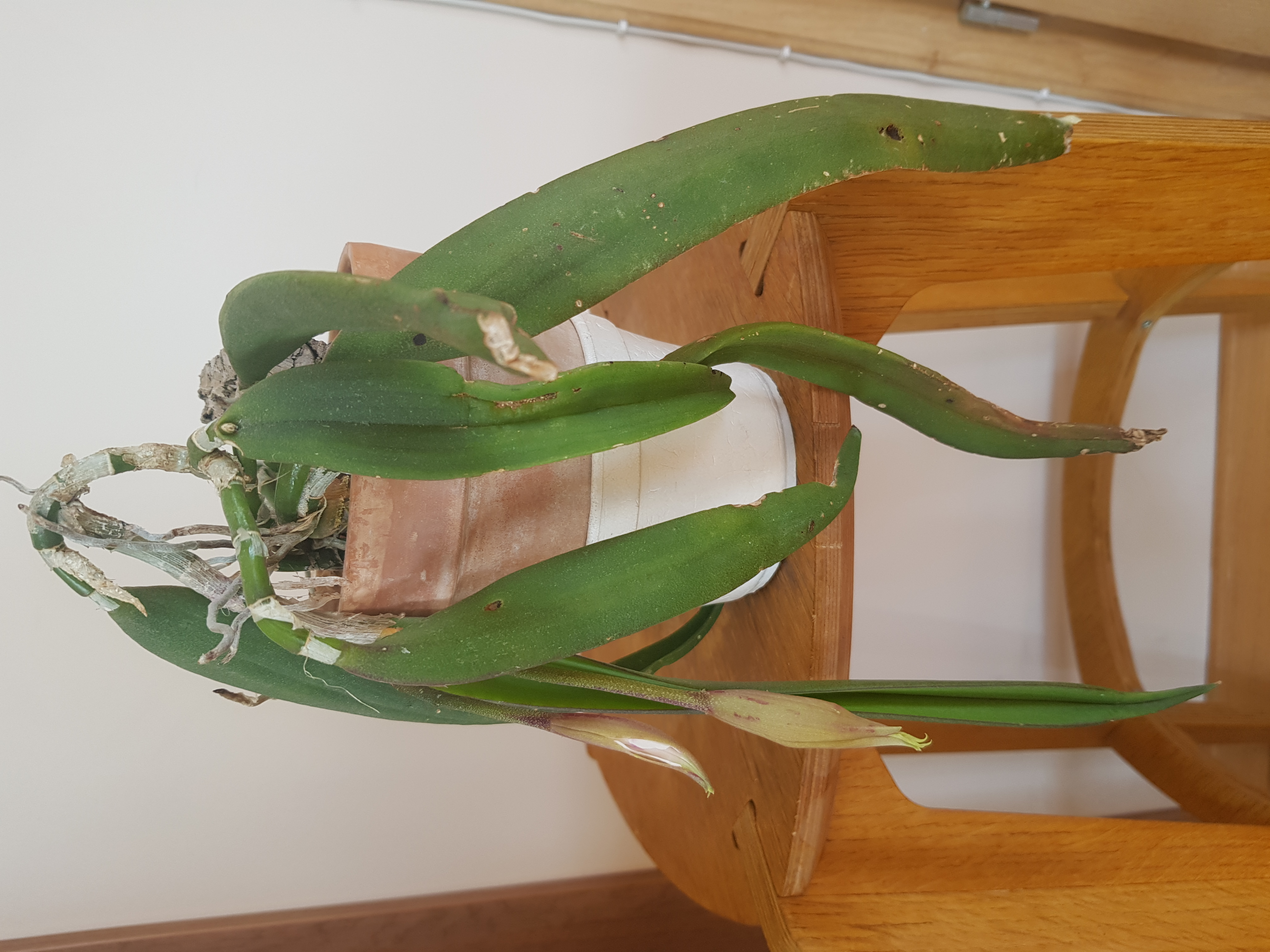 20190616_180148.jpg