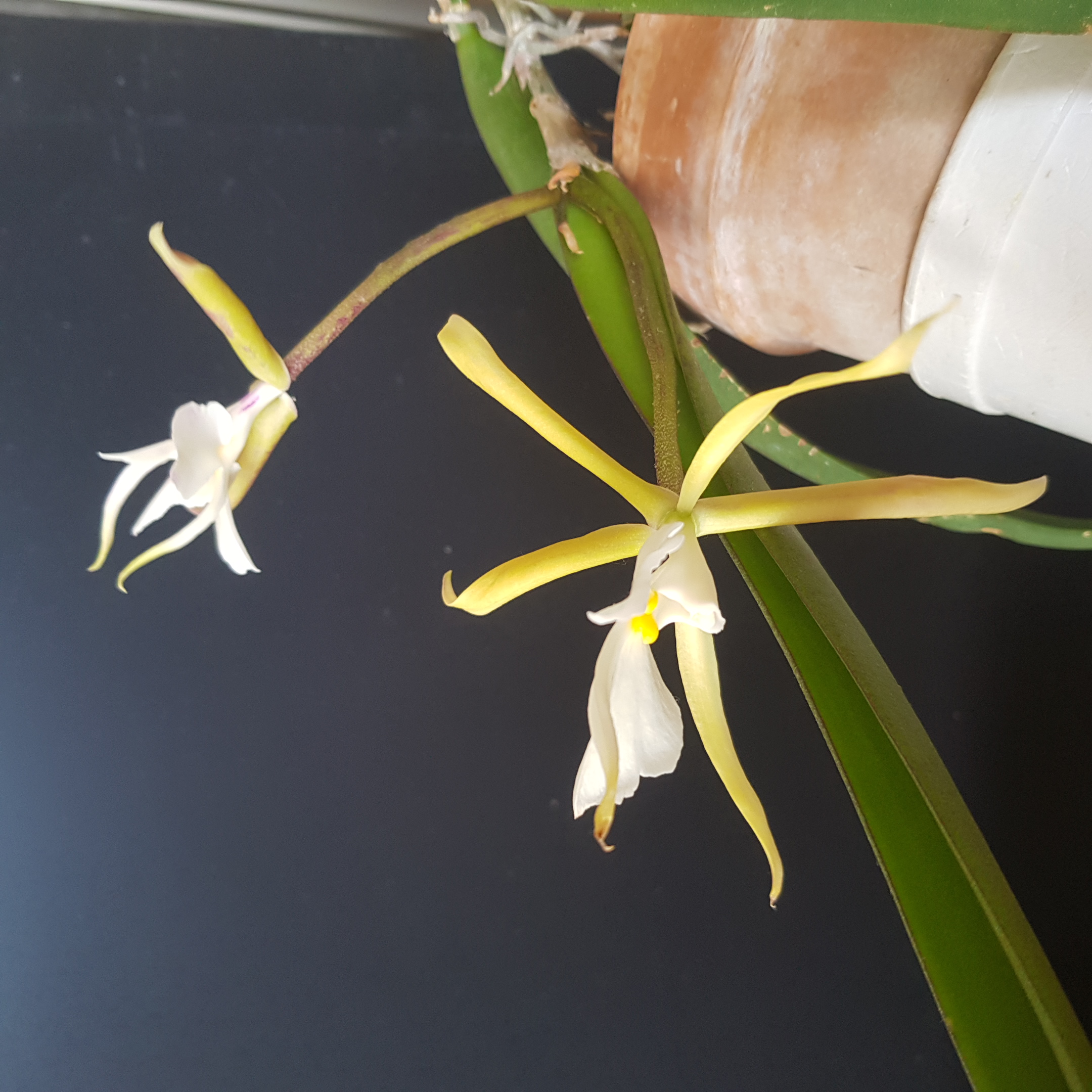20190629_122131.jpg