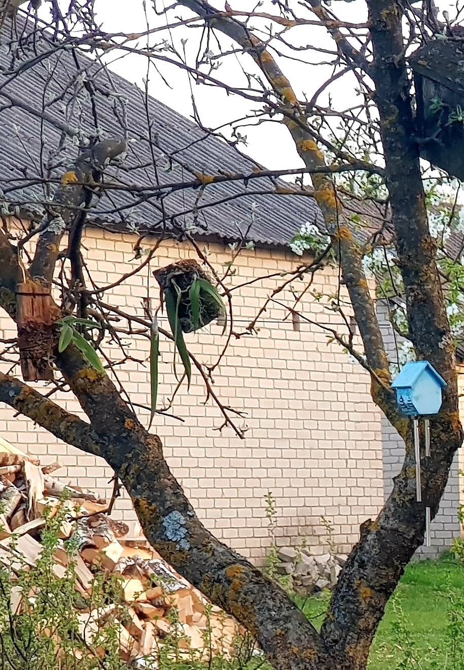 20190427_124218.jpg