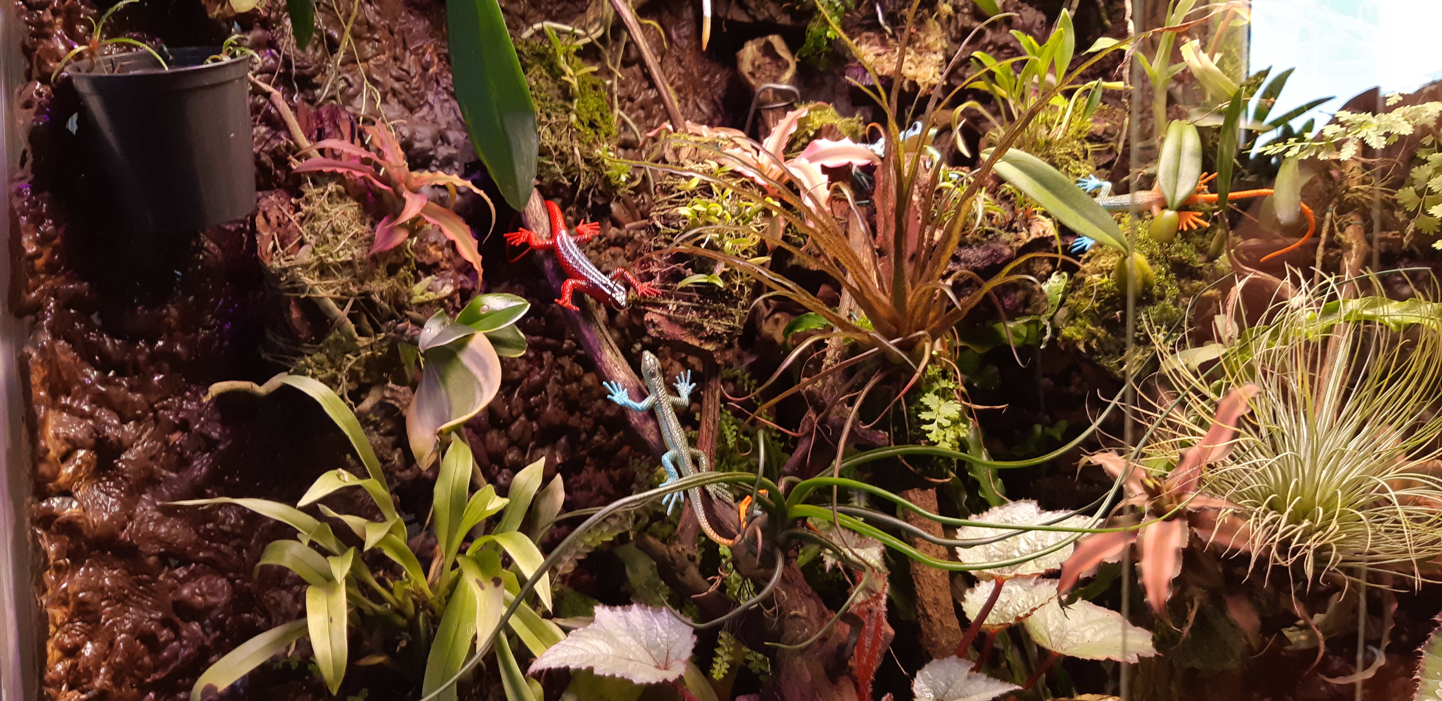 20201028_162149.jpg