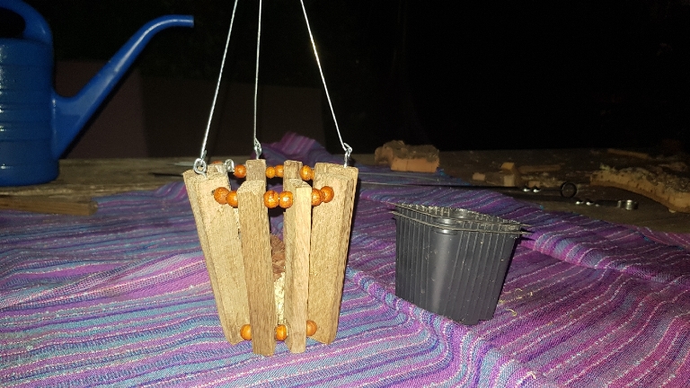 20200809_215932_resize_67.jpg