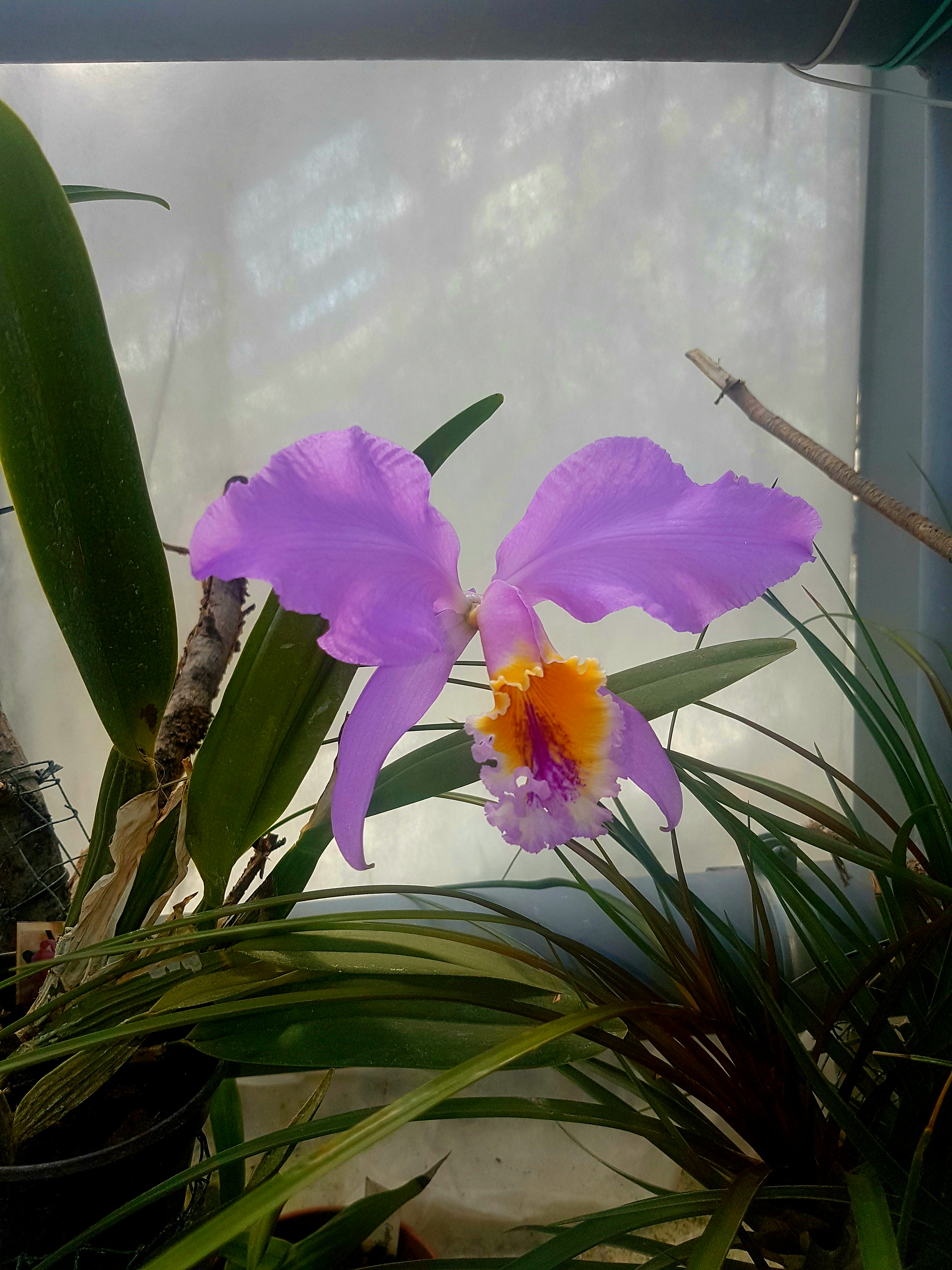 20170618_182951.jpg