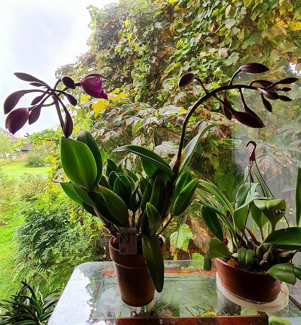 20201009_165246.jpg