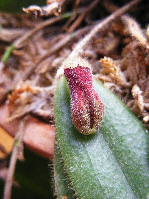 DSCF3850.JPG