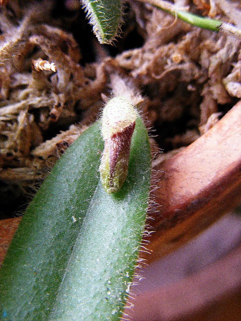 DSCF3855.JPG
