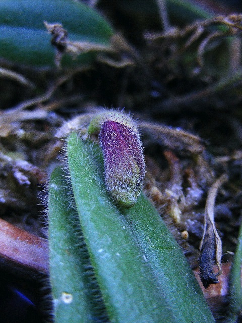 DSCF3827.JPG
