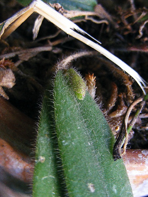 DSCF3793.JPG