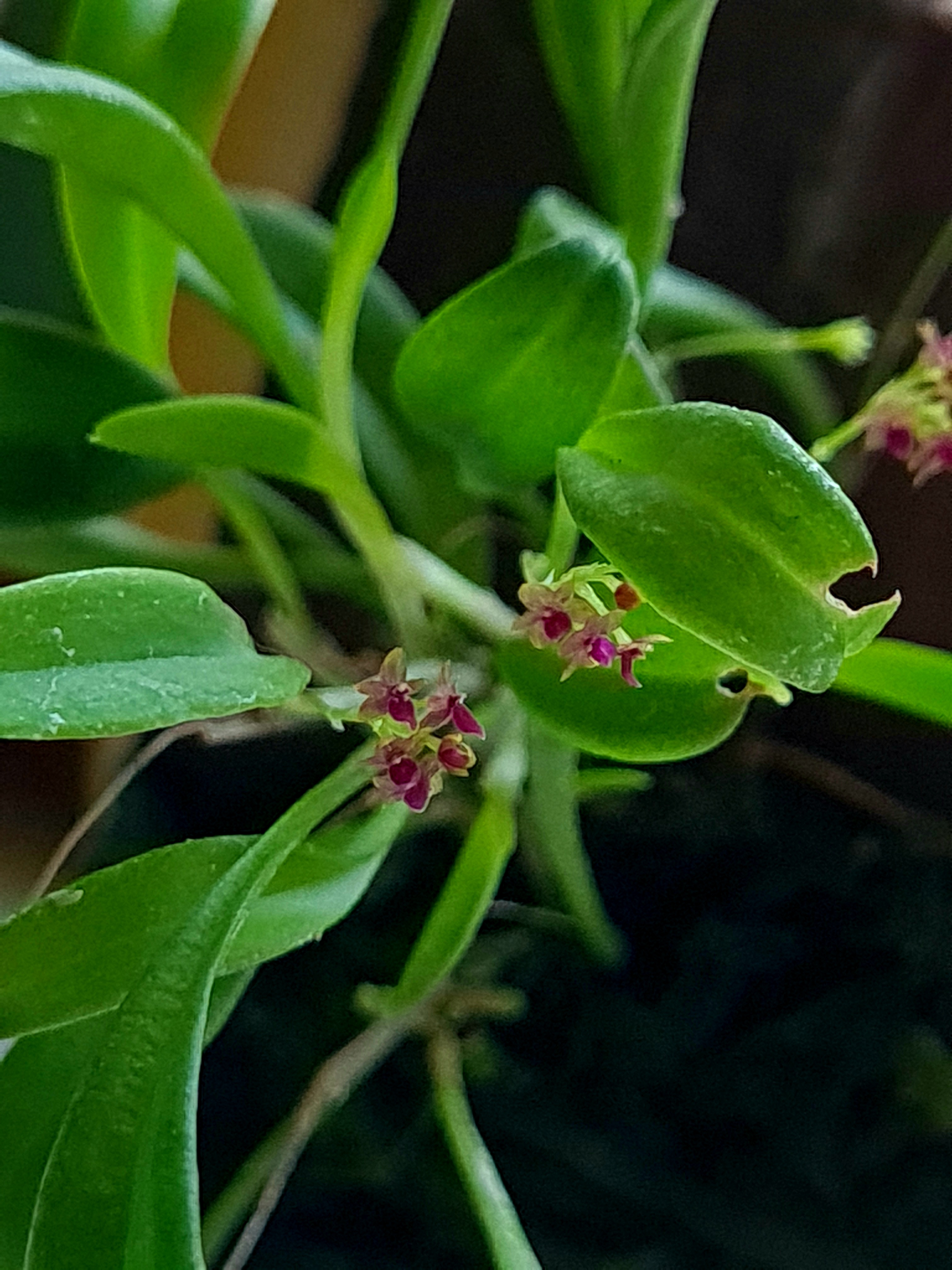 20200807_151702.jpg