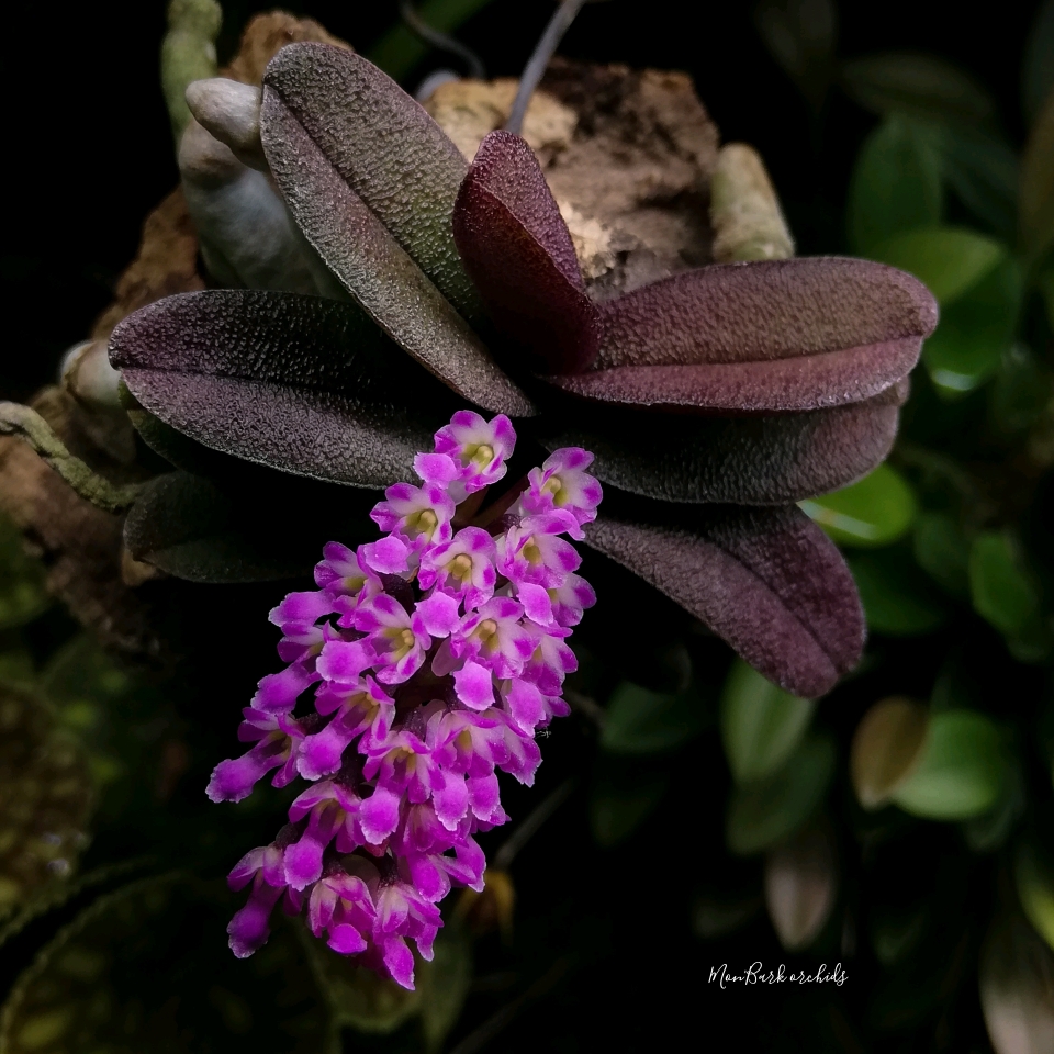 c7d3ad95_compress58.jpg