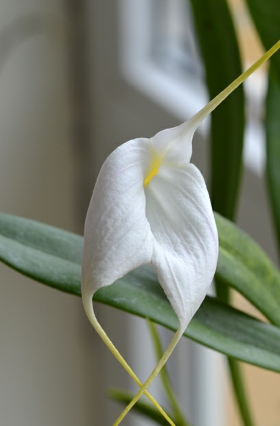 20201030_165345.jpg