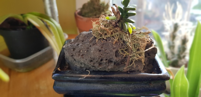 20181013_171621.jpg