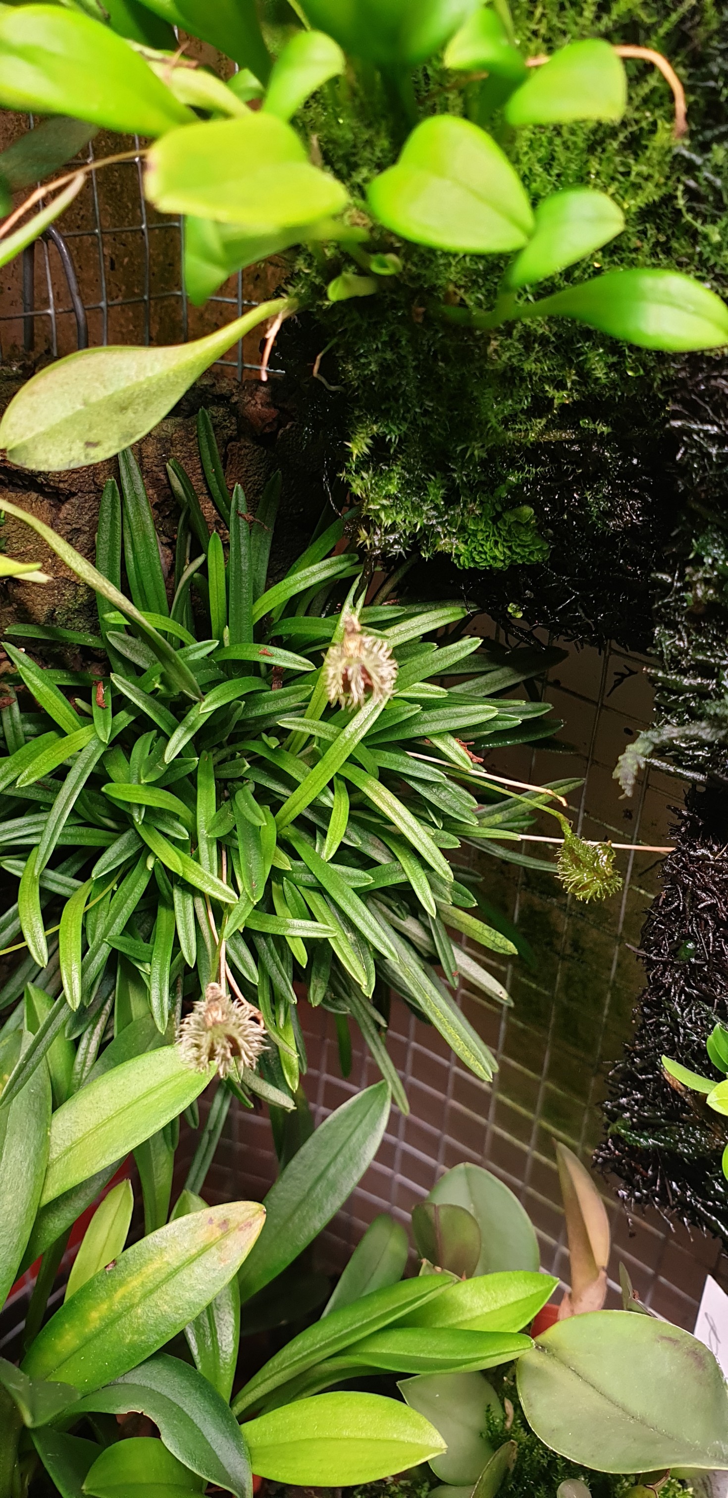 20200902_212930_copy_1470x3024.jpg
