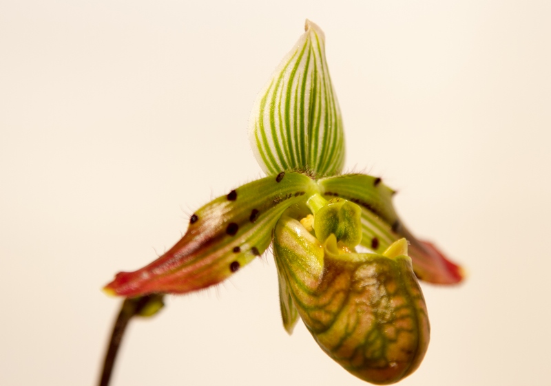 20150061234-1.jpg
