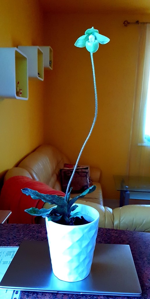 Screenshot_20200219-151438_Gallery.jpg