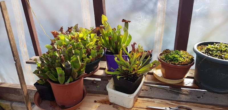 (1)20190330_150156.jpg