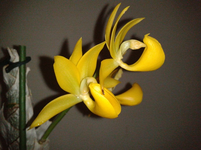2012-08-04 12.16.18a.jpg