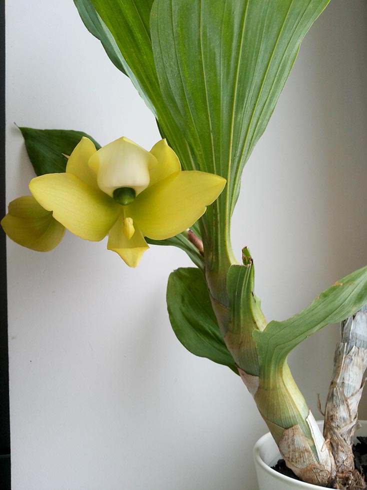 20181203_120720.jpg