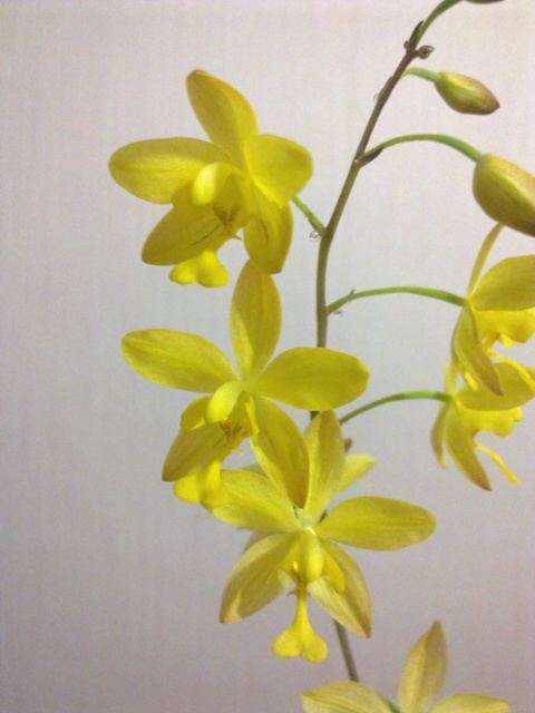 20101207305.jpg