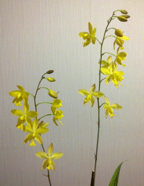 20101207321.jpg