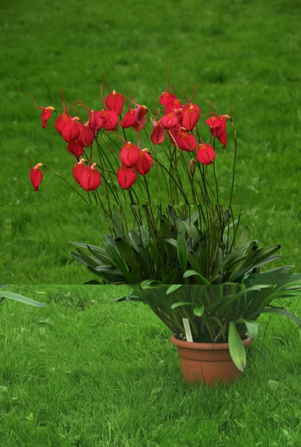 20201103_103201.jpg
